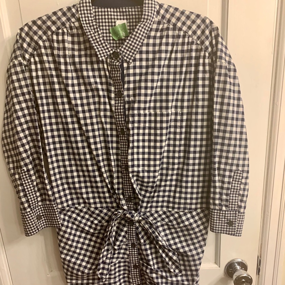 Gap Gingham Shirt Dress